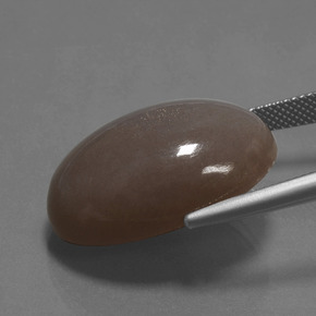Piedra de Luna Marrón chocolate natural de 28.89 ct, Corte Óvalo, Opaco