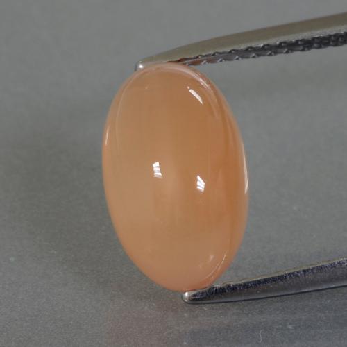 Piedra de luna naranja natural de 3,49 ct, corte óvalo, translúcido