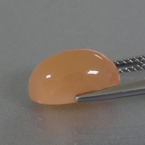 Piedra de luna naranja natural de 3,49 ct, corte óvalo, translúcido