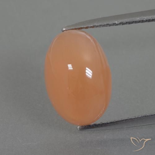 4.99ct Natural Naranja medio Piedra de Luna, Ovalada, Translúcido