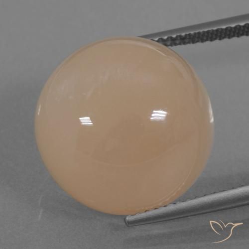 19.74ct Natural Naranja claro Piedra de Luna, Redondo, Translúcido