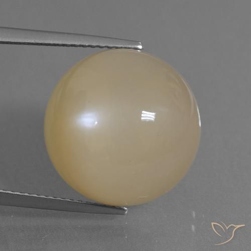 17.91ct Natural Dorado durazno claro Piedra de Luna, Redondo, Translúcido