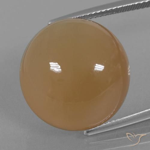 23.98ct Natural Marrón nuez claro Piedra de Luna, Redondo, Translúcido