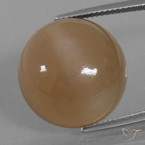 21.98ct Natural Marrón naranja Piedra de Luna, Redondo, Translúcido
