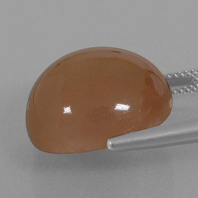 Piedra de Luna Marrón cálido natural de 23.28 ct, Corte Redondo, Translúcido