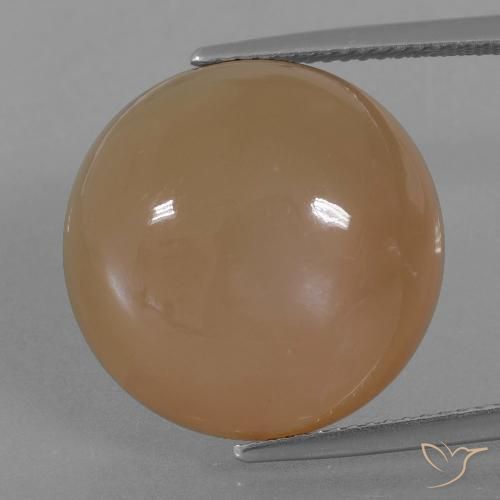 23.89ct Natural Marrón caramelo Piedra de Luna, Redondo, Translúcido