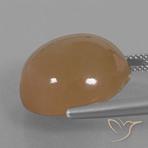 Piedra de Luna Marrón caramelo natural de 23.89 ct, Redondo, Translúcido