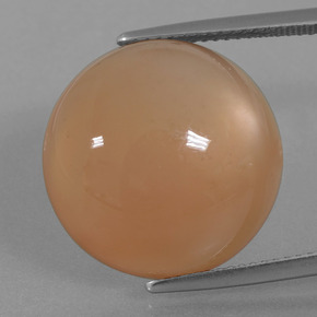 Piedra de luna naranja natural de 21,29 ct, corte redondo, translúcido