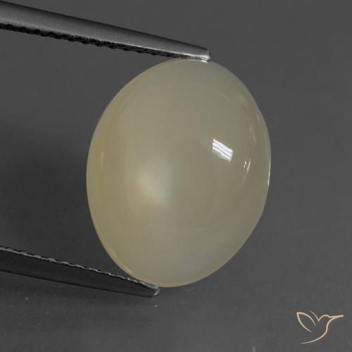 6.24ct Natural Marrón café claro Piedra de Luna, Ovalada, Translúcido