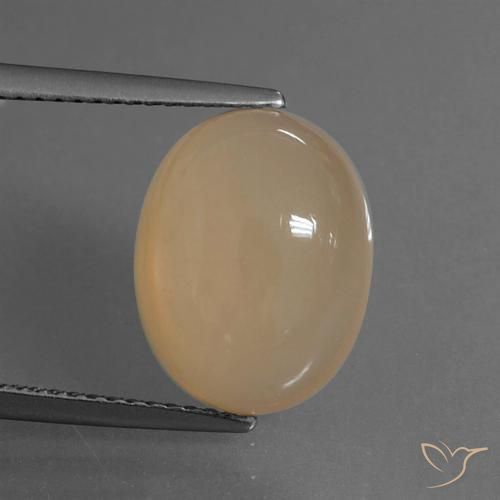 6.15ct Natural Naranja cantaloupe Piedra de Luna, Ovalada, Translúcido