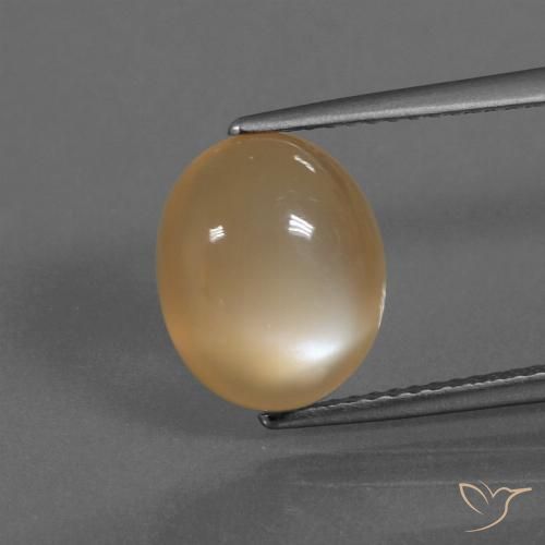 4.18ct Natural Crema naranja Piedra de Luna, Ovalada, Translúcido
