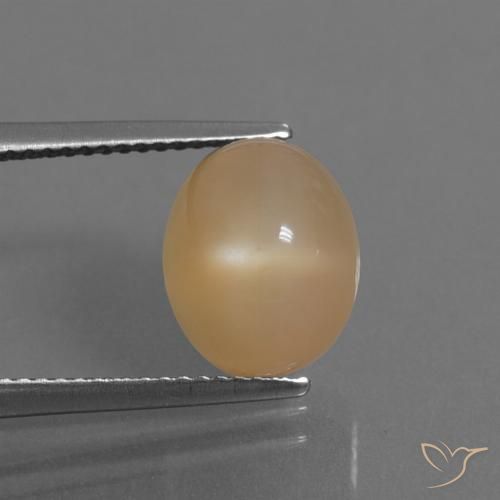 5.32ct Natural Dorado naranja Piedra de Luna, Ovalada, Translúcido