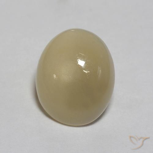 3.03ct Natural Marrón café claro Piedra de Luna, Ovalada, Translúcido, Photo A
