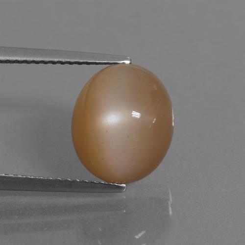 Piedra de Luna Marrón cacahuete natural de 6.30 ct, Corte Óvalo, Translúcido
