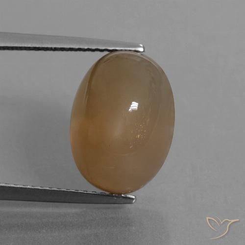 9.55ct Natural Marrón caramelo claro Piedra de Luna, Ovalada, Translúcido