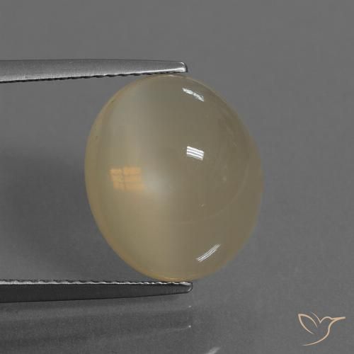 7.46ct Natural Marrón café claro Piedra de Luna, Ovalada, Translúcido