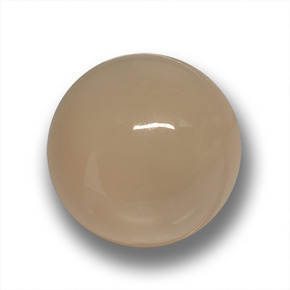 Piedra de luna marrón natural de 24,50 ct, corte redondo, translúcido