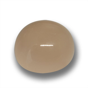 Piedra de luna marrón natural de 24,50 ct, corte redondo, translúcido