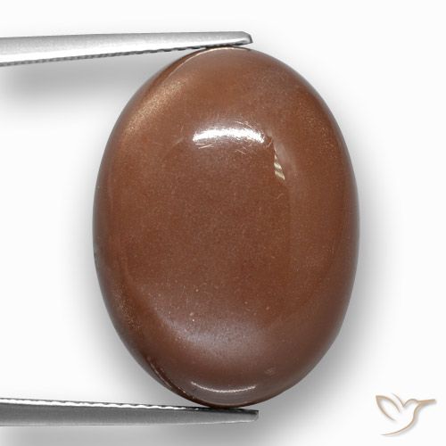 24.38ct Natural Marrón canela Piedra de Luna, Ovalada, Opaco