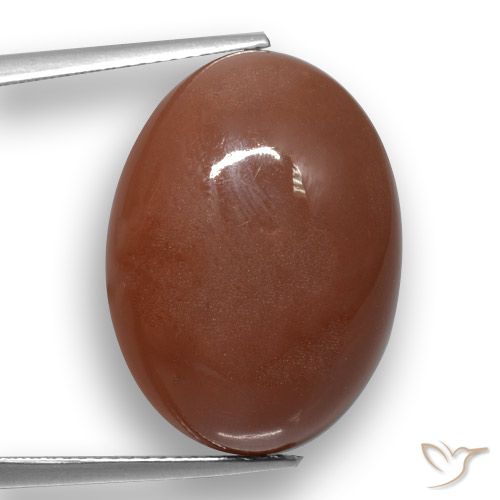 20.59ct Natural Marrón medio Piedra de Luna, Ovalada, Translúcido