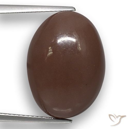 22.51ct Natural Marrón medio Piedra de Luna, Ovalada, Translúcido
