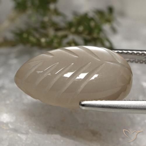 Piedra de Luna Marrón claro cálido natural de 10.30 ct, Elegante, Translúcido