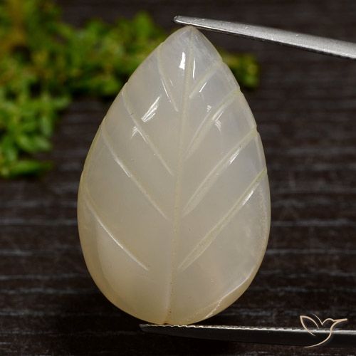 Piedra de luna marrón café claro natural de 31,11 ct, forma elegante, translúcido