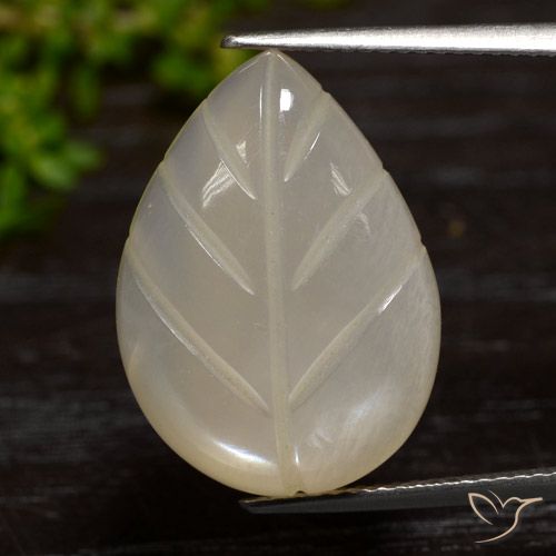 14.13ct Natural Marrón nuez claro Piedra de Luna, Elegante, Translúcido