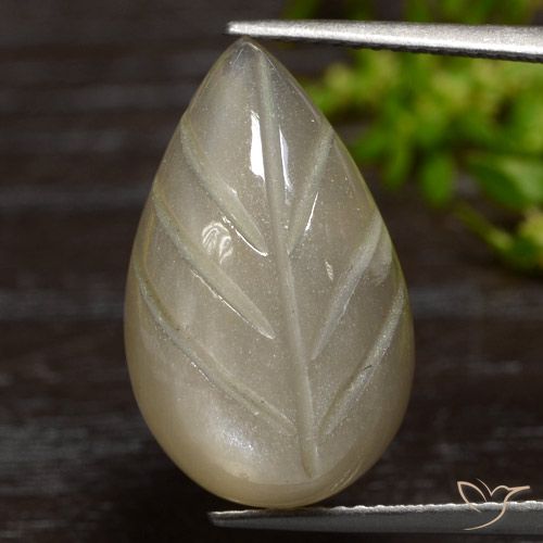 12.55ct Natural Marrón café claro Piedra de Luna, Elegante, Translúcido