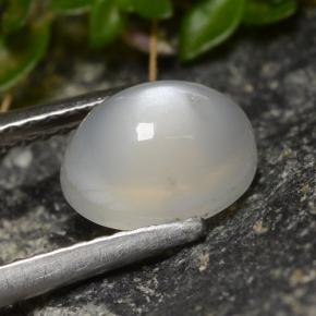 Piedra de luna blanco natural de 1,58 ct, corte óvalo, translúcido