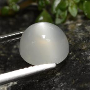 Piedra de luna blanco natural de 2,60 ct, corte redondo, translúcido