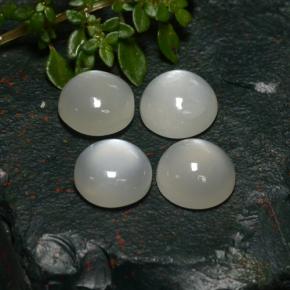 Gemas de piedra de luna blanco natural de 8,31 ct, corte redondo, translúcido