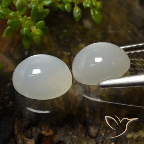 Gemas de Piedra de Luna Blanco cálido natural de 3.27 ct, Corte Óvalo, Translúcido