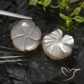 Gemas de Piedra de Luna Marrón muy claro natural de 4.73 ct, Corte Flor, Translúcido