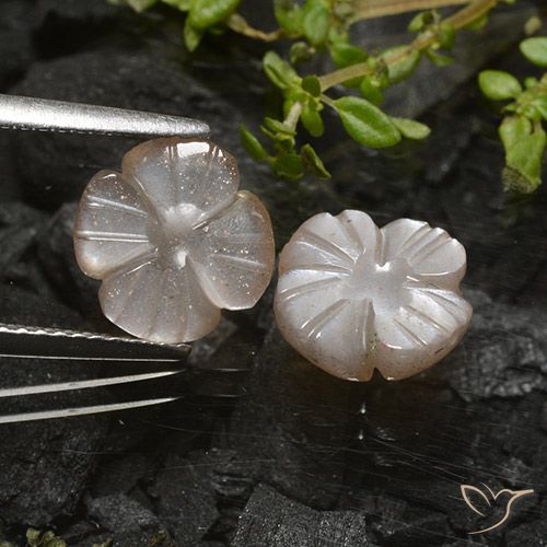 3.96ctw Natural Marrón claro cálido Piedra de Luna, Corte Flor, Translúcido