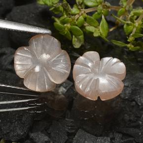 Gemas de Piedra de Luna Marrón muy claro natural de 3.29 ct, Corte Flor, Translúcido