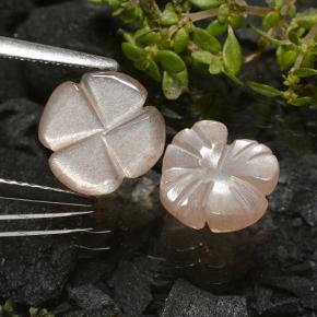 Gemas de Piedra de Luna Marrón muy claro natural de 3.29 ct, Corte Flor, Translúcido