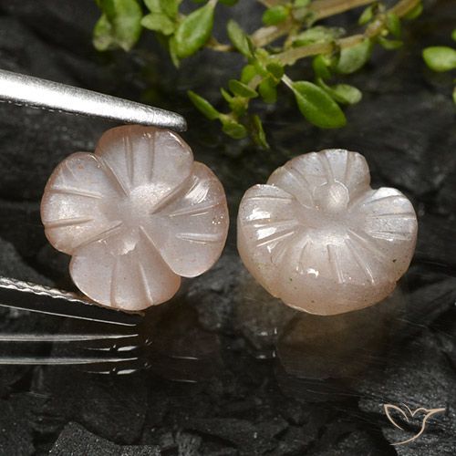 5.09ctw Natural Marrón caramelo claro Piedra de Luna, Corte Flor, Translúcido