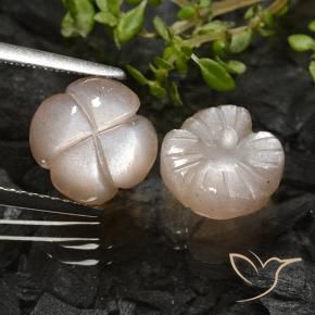 Gemas de Piedra de Luna Marrón caramelo claro natural de 5.09 ct, Corte Flor, Translúcido