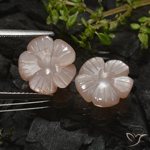6.87ctw Natural Marrón caramelo claro Piedra de Luna, Corte Flor, Translúcido