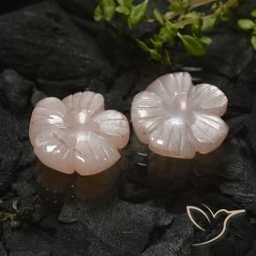 Gemas de Piedra de Luna Marrón caramelo claro natural de 6.87 ct, Corte Flor, Translúcido