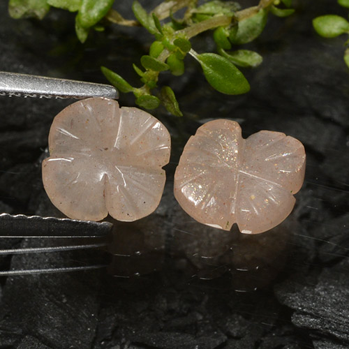 Gemas de piedra de luna marrón natural de 2,08 ct, corte flor, translúcido