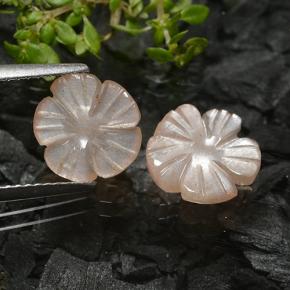 Gemas de piedra de luna marrón natural de 3,50 ct, corte flor, translúcido