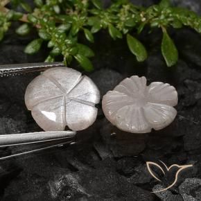 Gemas de Piedra de Luna Marrón nuez claro natural de 4.91 ct, Corte Flor, Translúcido