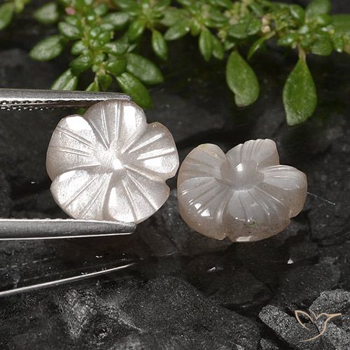 5.49ctw Natural Marrón muy claro Piedra de Luna, Corte Flor, Translúcido