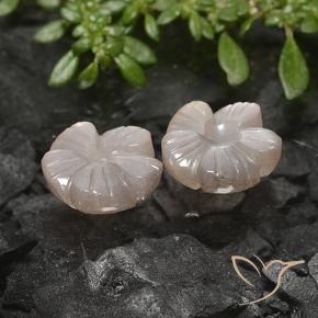 Gemas de Piedra de Luna Marrón muy claro natural de 5.49 ct, Corte Flor, Translúcido