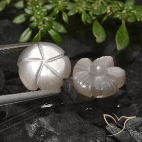 Gemas de Piedra de Luna Marrón muy claro natural de 5.49 ct, Corte Flor, Translúcido