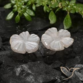Gemas de Piedra de Luna Marrón nuez claro natural de 3.40 ct, Corte Flor, Translúcido