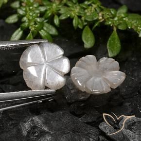 Gemas de Piedra de Luna Marrón nuez claro natural de 3.40 ct, Corte Flor, Translúcido