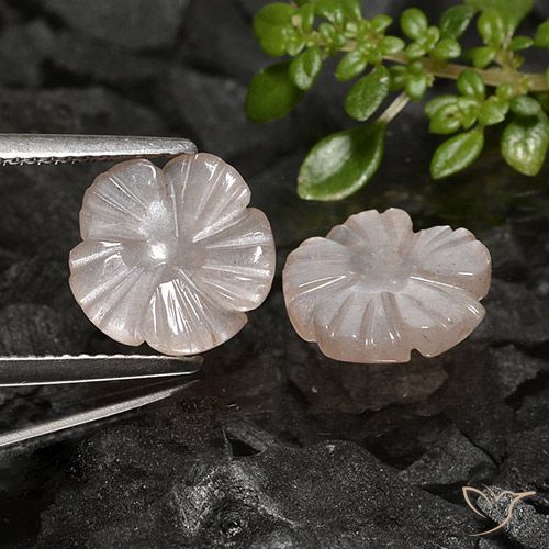 4.41ctw Natural Marrón caramelo claro Piedra de Luna, Corte Flor, Translúcido